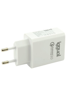 iggual Cargador doble USB QC3.0 + tipo C PD 20W 2