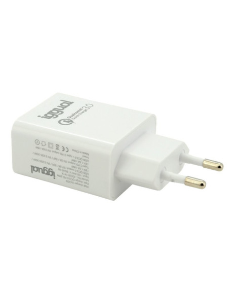 iggual Cargador doble USB QC3.0 + tipo C PD 20W