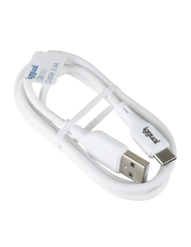 iggual IGG316948 cable USB USB 2.0 1 m USB A USB C Blanco