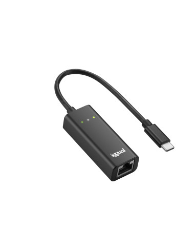 iggual IGG317693 adaptador y tarjeta de red Ethernet 1000 Mbit s