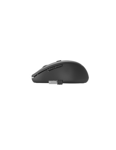 Gembird MUSW-6B-01 ratón Oficina mano derecha RF inalámbrico Óptico 1600 DPI