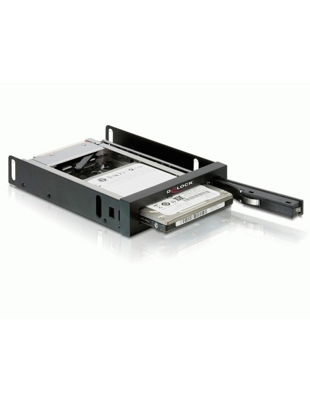 DeLOCK 47194 panel bahía disco duro