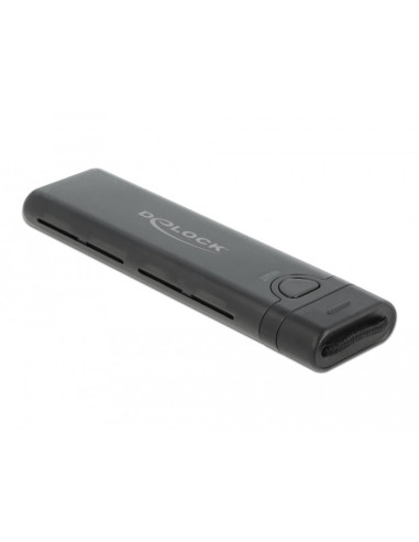 DeLOCK Externo USB Type-C Caja Combo para M.2 NVMe PCIe o SATA SSD - sin herramientas