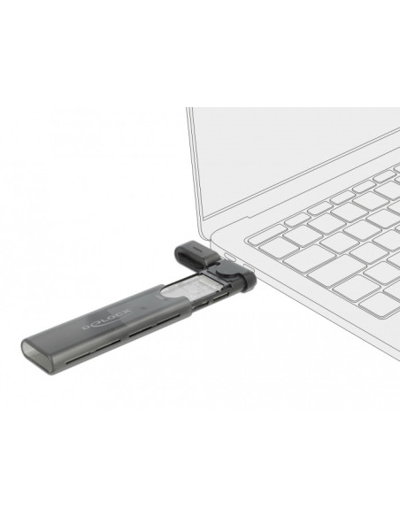 DeLOCK Externo USB Type-C Caja Combo para M.2 NVMe PCIe o SATA SSD - sin herramientas