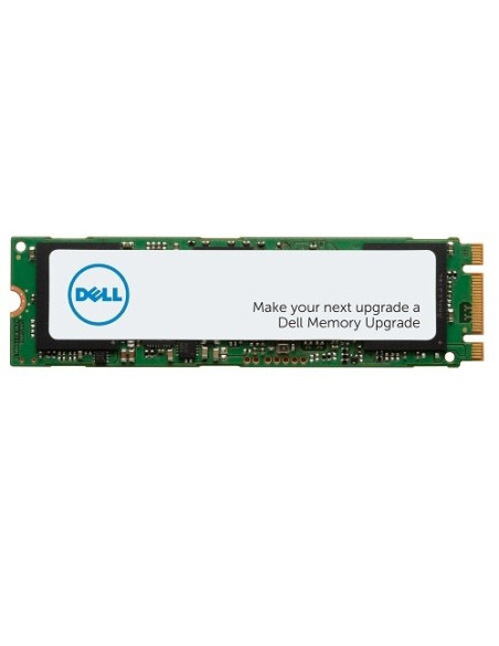 DELL AA615520 unidad de estado sólido 1 TB M.2 PCI Express NVMe