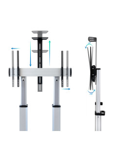 TooQ Partenón 2,54 m (100") Plata 2