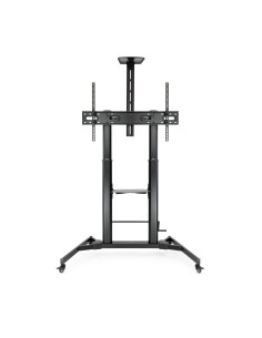 TooQ ZEUS 2,54 m (100") Negro 2