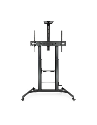 TooQ ZEUS 2,54 m (100") Negro