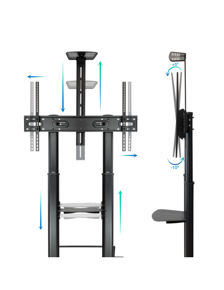 TooQ ZEUS 2,54 m (100") Negro