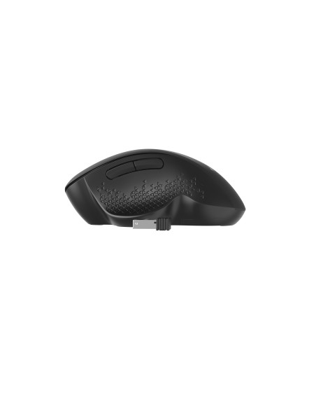 Gembird MUSW-6B-02 ratón Oficina mano derecha RF inalámbrico Óptico 1600 DPI