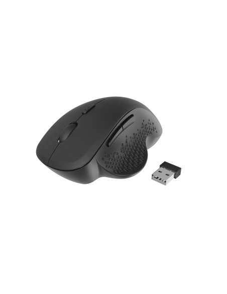 Gembird MUSW-6B-02 ratón Oficina mano derecha RF inalámbrico Óptico 1600 DPI