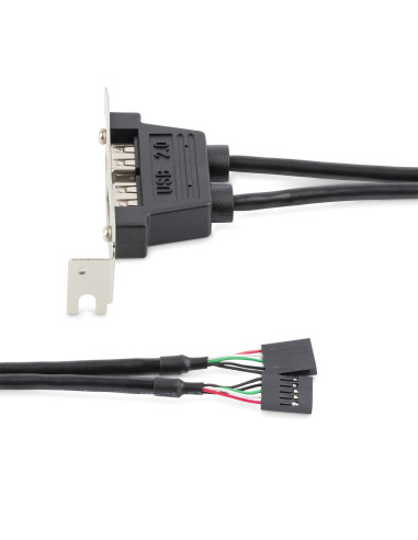 StarTech.com Cabezal Bracket Perfil Bajo de 2 puertos USB 2.0 con conexión a Placa Base 2x IDC5 - Low Profile