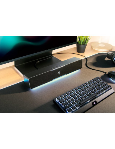 Razer Leviathan V2 X Negro 65 W