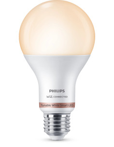 Philips Bombilla 13 W (Equiv. 100 W) A67 E27
