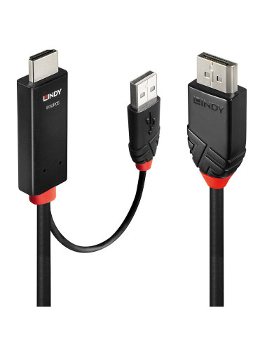 Lindy 41499 adaptador de cable de vídeo 2 m HDMI + USB Type-A DisplayPort Negro
