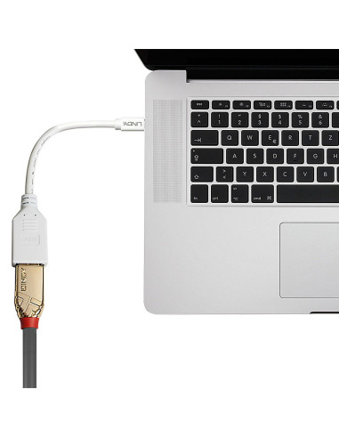 Lindy 41021 cable DisplayPort 0,15 m Mini DisplayPort Blanco