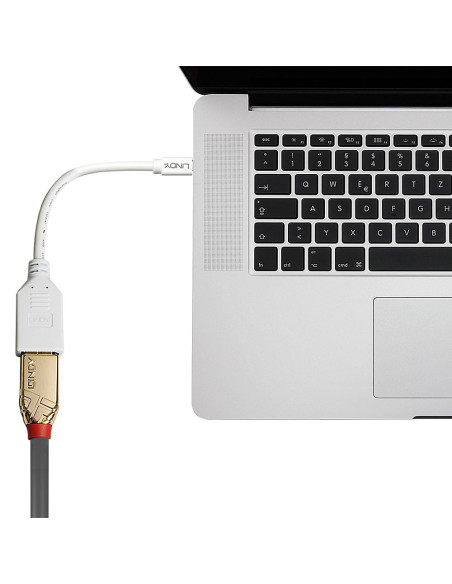 Lindy 41021 cable DisplayPort 0,15 m Mini DisplayPort Blanco