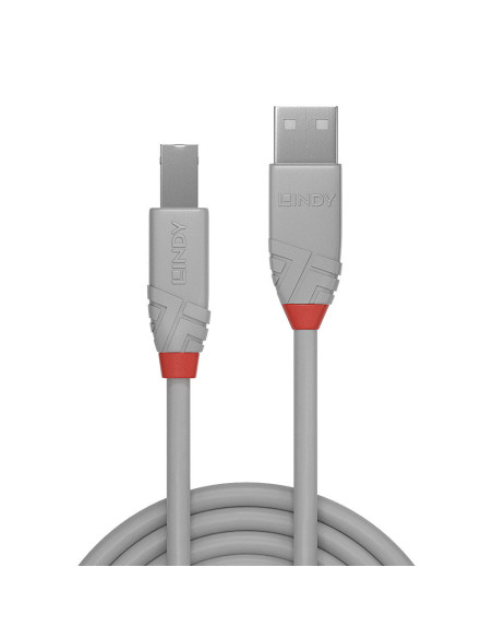 Lindy 36682 cable USB USB 2.0 1 m USB A USB B Gris