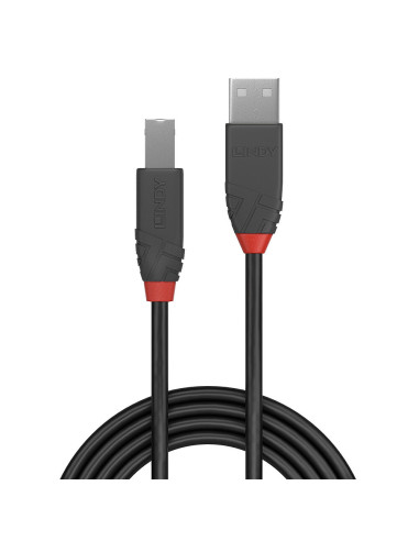 Lindy 36674 cable USB USB 2.0 3 m USB A USB B Negro