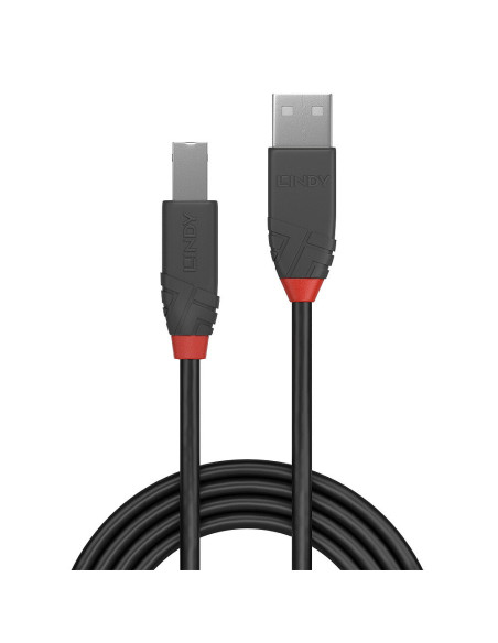 Lindy 36674 cable USB USB 2.0 3 m USB A USB B Negro