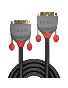 Lindy 36222 cable DVI 2 m DVI-D Negro 2