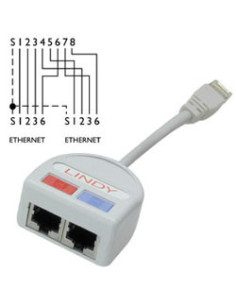 Lindy UTP Port Doubler cable de red Gris