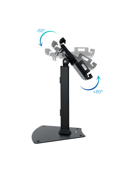 TooQ TQTDS0811 soporte de seguridad para tabletas Negro 26,7 cm (10.5")