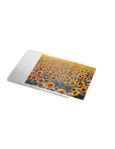 Esselte 67691 alfombrilla para ratón Transparente, Blanco