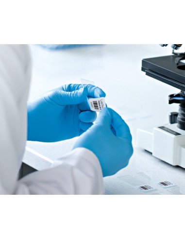 DYMO LW - Etiquetas multiuso - 32 x 57 mm - 2093095