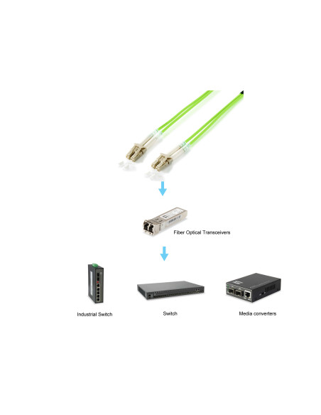 Equip 255711 Cable de fibra óptica e InfiniBand 1 m LC Verde