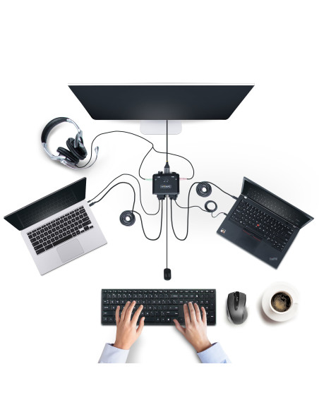 StarTech.com C2-D46-UC2-CBL-KVM interruptor KVM Negro