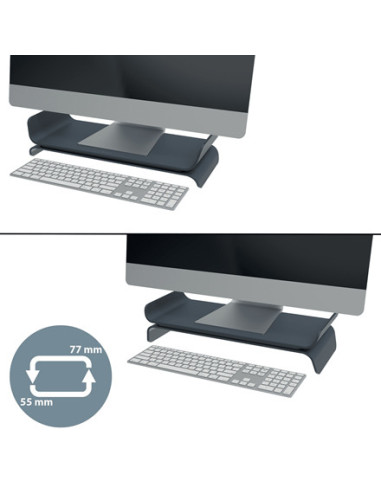 Leitz Ergo Adjustable Monitor Stand 68,6 cm (27") Escritorio Gris