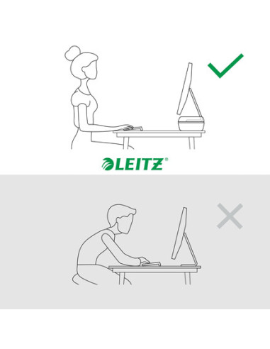 Leitz Ergo Adjustable Monitor Stand 68,6 cm (27") Escritorio Gris