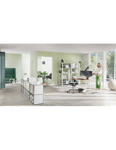 Leitz Ergo Adjustable Monitor Stand 68,6 cm (27") Escritorio Gris