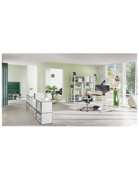 Leitz Ergo Adjustable Monitor Stand 68,6 cm (27") Escritorio Gris