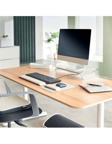 Leitz Ergo Adjustable Monitor Stand 68,6 cm (27") Escritorio Gris