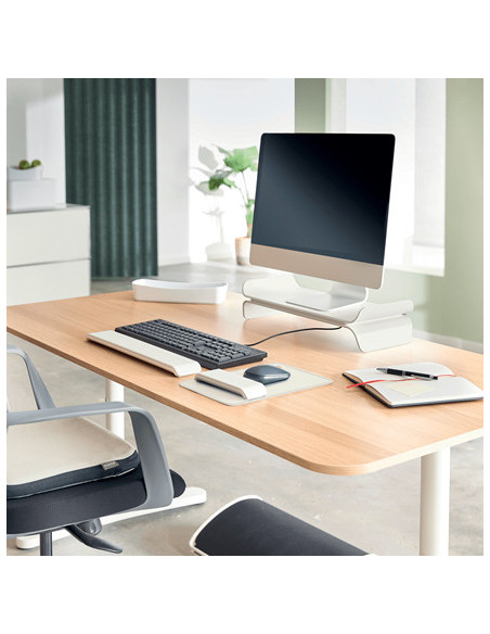 Leitz Ergo Adjustable Monitor Stand 68,6 cm (27") Escritorio Gris