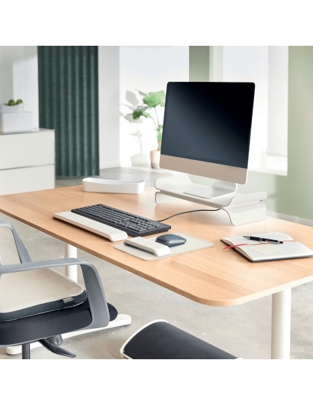 Leitz 65170085 descansa muñecas Gris