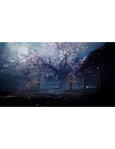 Sony Nioh 2 Estándar Inglés, Español PlayStation 4