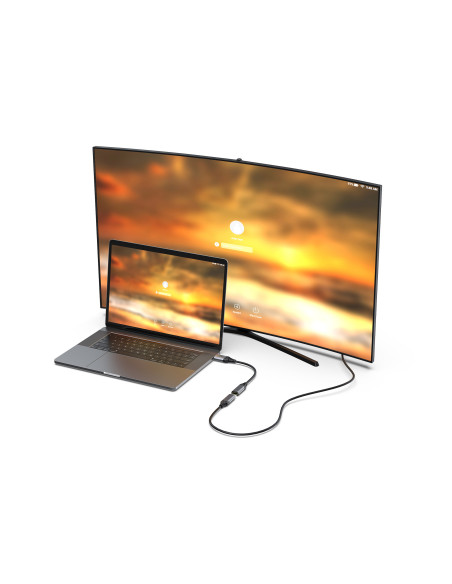 Equip Adaptador DisplayPort 1.2 a HDMI, 4K 60Hz