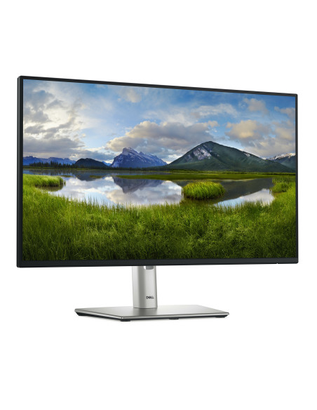 DELL Pro Plus P2425HE pantalla para PC 60,5 cm (23.8") 1920 x 1080 Pixeles Full HD LCD Negro