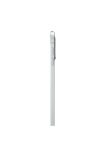 Apple iPad Pro Apple M 1 TB 27,9 cm (11") 16 GB Wi-Fi 6E (802.11ax) iPadOS 17 Plata