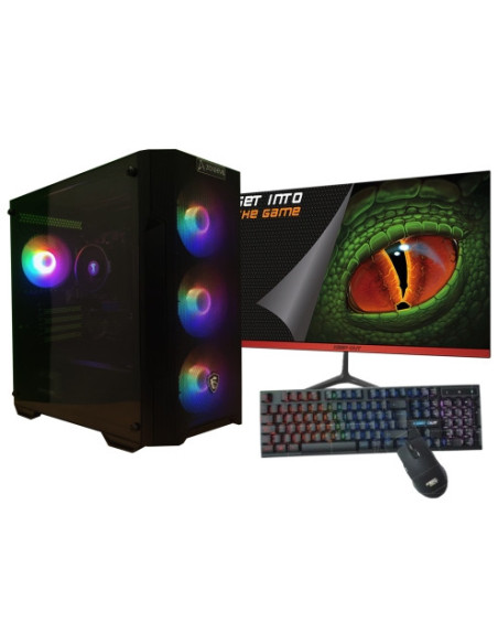 Zone Evil AMD Ryzen 5 4650G 16GB 1 Tb NVMe Monitor 21.5 teclado y ratón Windows 11 Ordenador GamingPC