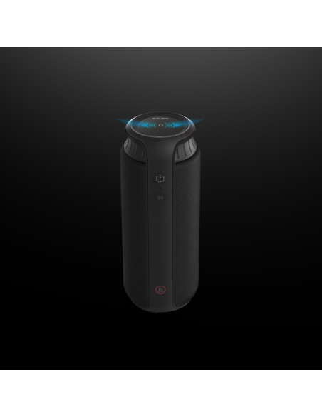 Hama Pipe 2.0 Negro Inalámbrico 24 W