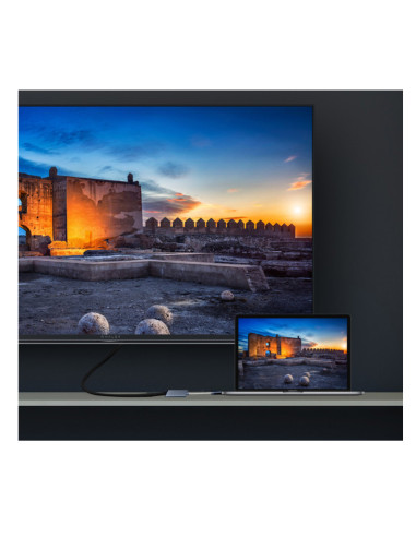 SilverHT Logan tarjeta y adaptador de interfaz HDMI