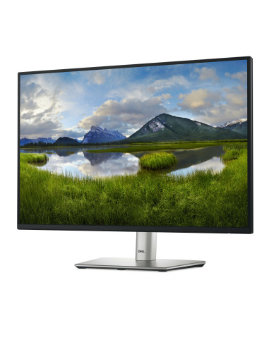 DELL Pro Plus P2425 pantalla para PC 61,1 cm (24.1") 1920 x 1200 Pixeles WUXGA LCD Negro