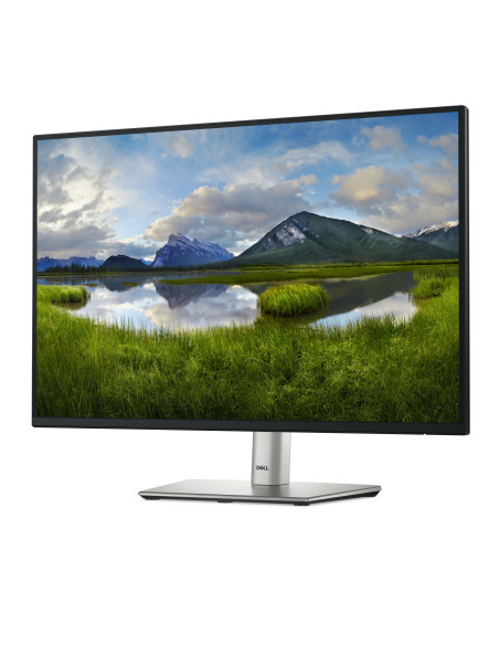 DELL Pro Plus P2425 pantalla para PC 61,1 cm (24.1") 1920 x 1200 Pixeles WUXGA LCD Negro