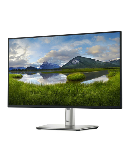 DELL Pro Plus P2425H pantalla para PC 60,5 cm (23.8") 1920 x 1080 Pixeles Full HD LCD Negro