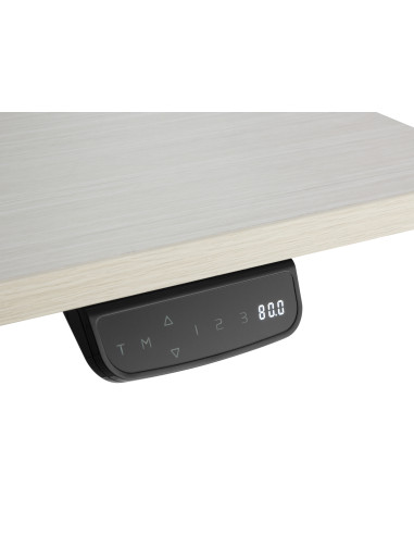 Equip ERGO Bipedestador Eléctrico, Doble Motor, Gris