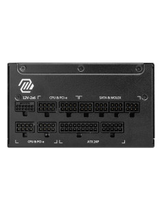 MSI MAG A1250GL PCIE5 unidad de fuente de alimentación 1250 W 24-pin ATX ATX Negro 2